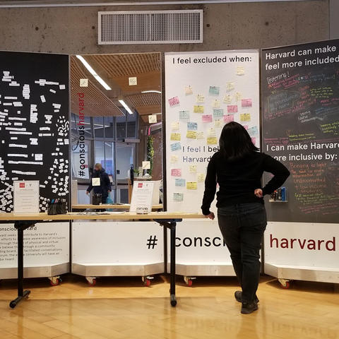 person gazing at conscious harvard board.